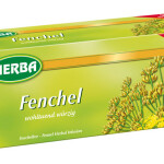 HERBA KAMILLENTEE   25 CT.