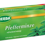 HERBA HAGEBUTTENTEE  25 CT.